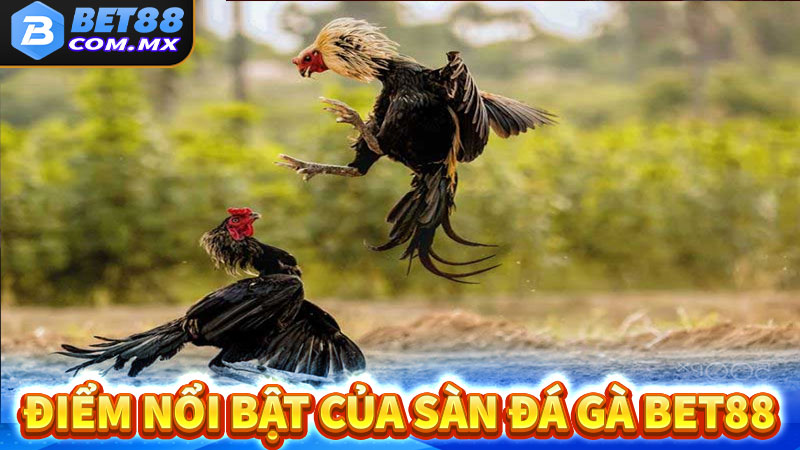 Điểm nổi bật của sàn đá gà bet88